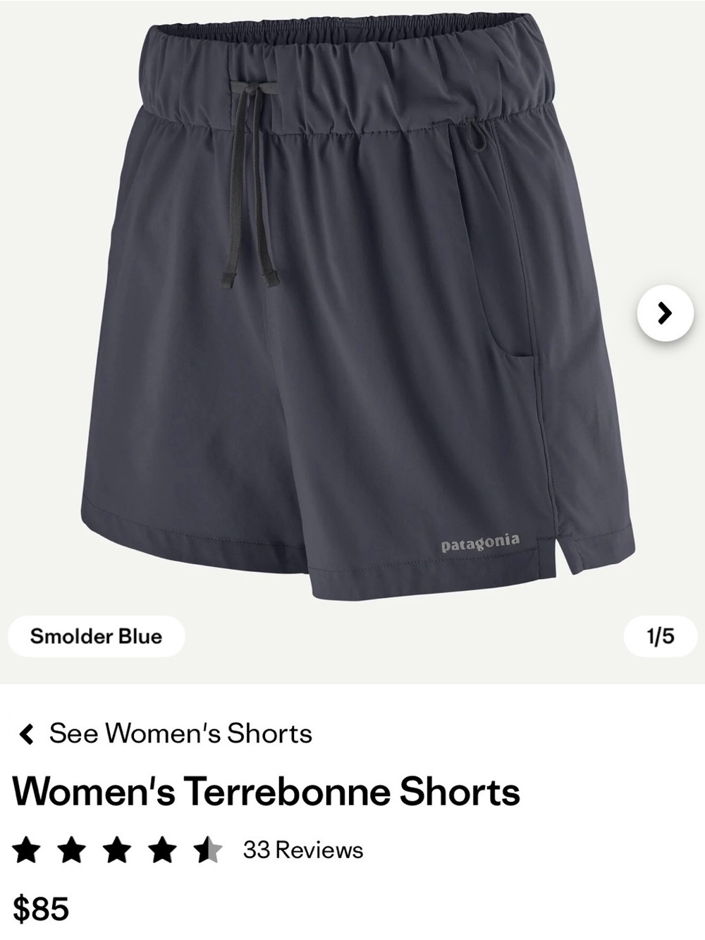 Patagonia Terrebone Shorts